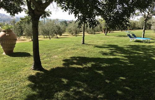 Podere Casanova - Foto 76