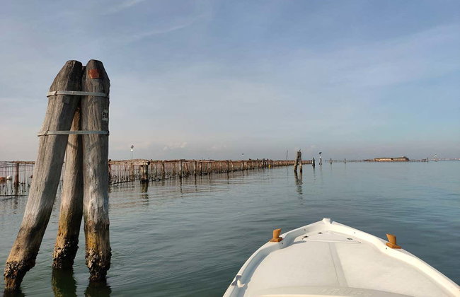 Pellestrina Island Boat Tour - Photo 6
