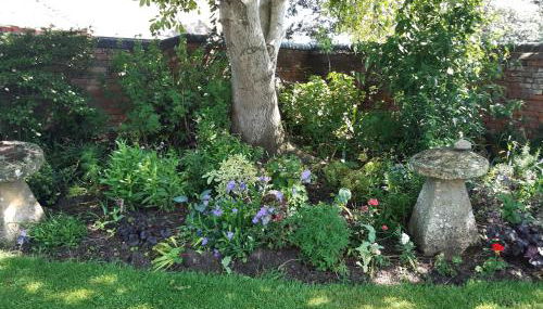 Whitchurch Farm Guesthouse - Foto 4, Garden