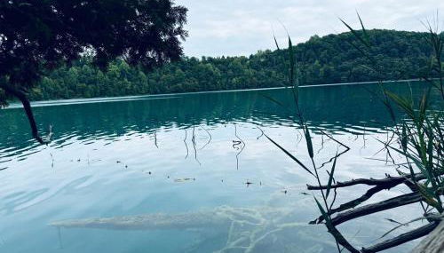 Paradise Island escape Riverfront in Clay, NY - Foto 4