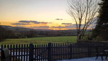 Parcglas - Willow - Foto 3