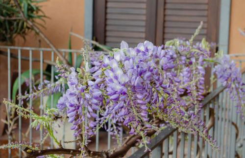 La Dimora degli ulivi - Foto 7