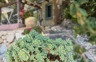 Casa Piredda Icore IUN R7749 - Foto 35