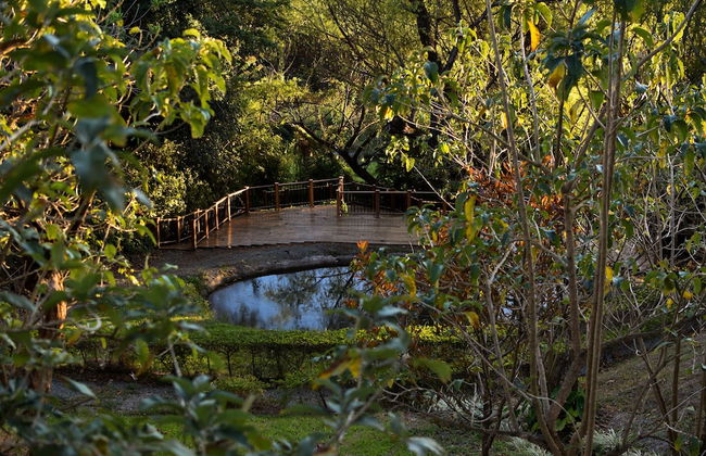 Cabañas La Laguna Lodge - Foto 26