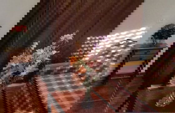 Apartamentos Guardamar del Segura - Foto 27