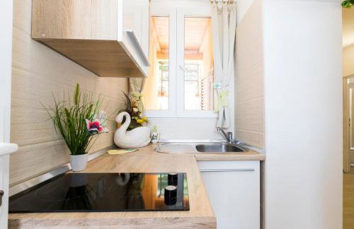 Apartments and rooms Roberto B. - Foto 58