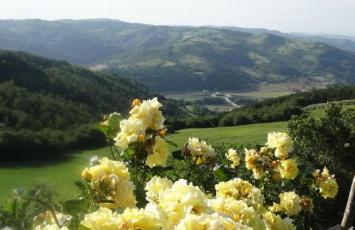 Agriturismo La Terrazza - Photo 26