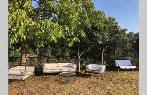 Torre medievale Il Castellaccio - Foto 10