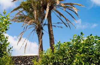 Dammuso Villa Rosa - Foto 43