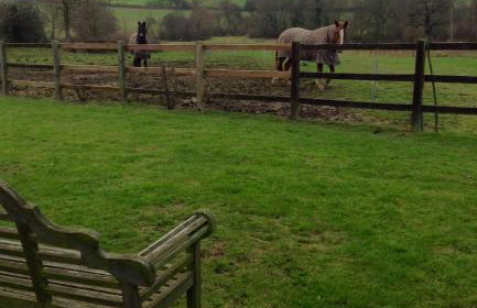 Derbyshire Holiday Cottages - Foto 15