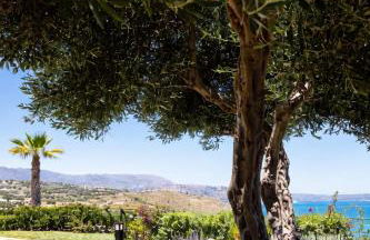 Miraida Exclusive Residence - Photo 27