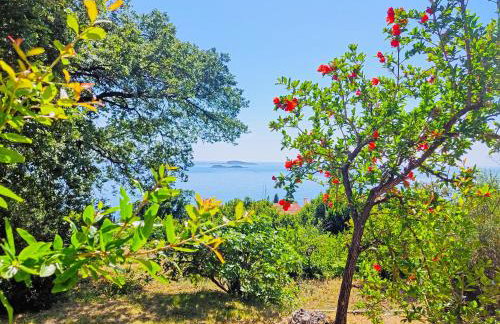 Dubrovnik Moonshine Apartment - Foto 16