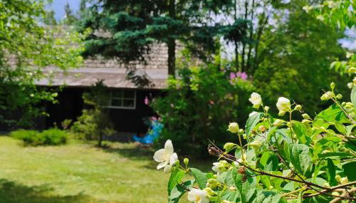 Chaty Sielanka - Foto 2