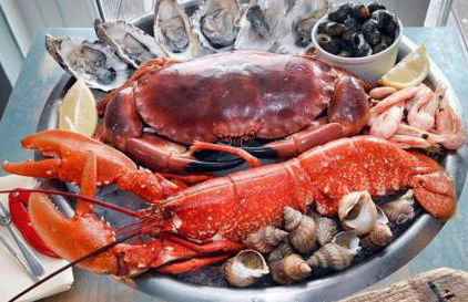 Tide House Seaside Holiday Cottage - Foto 41