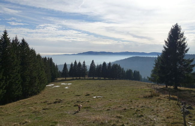 Classy Apartment in Soultzeren - Photo 11