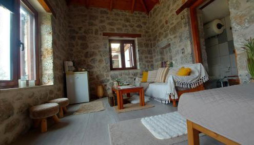 homonatura petrinum - Foto 4