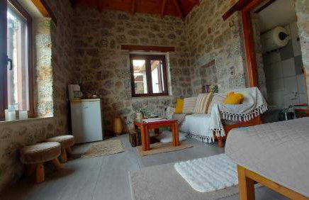 homonatura petrinum - Foto 4