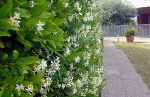 Relax on lake of Garda - Foto 44