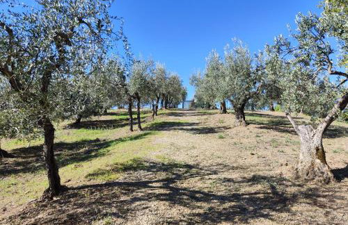 Agriturismo Sommassa - Foto 10