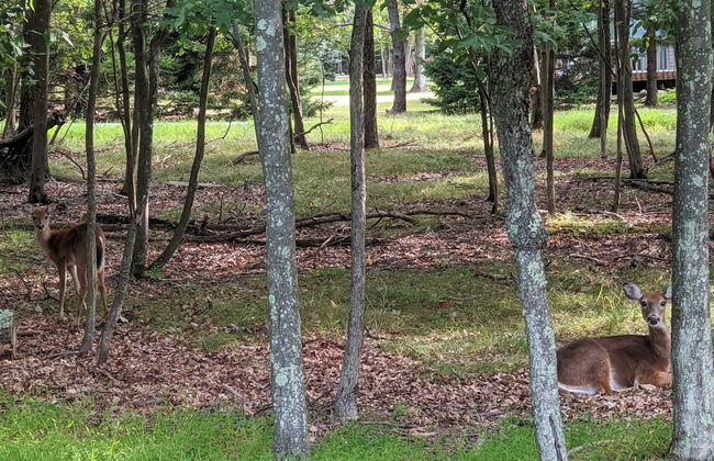 Mountain Hideout by Avantstay Game Room + Deck - Foto 47