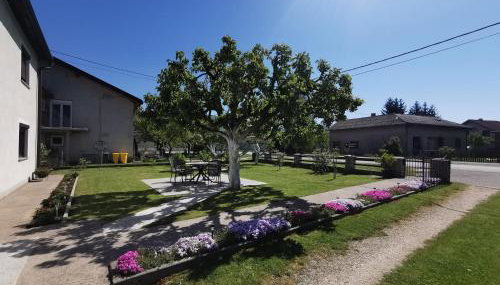 Apartment Milka - Foto 4, Garden, Garden view