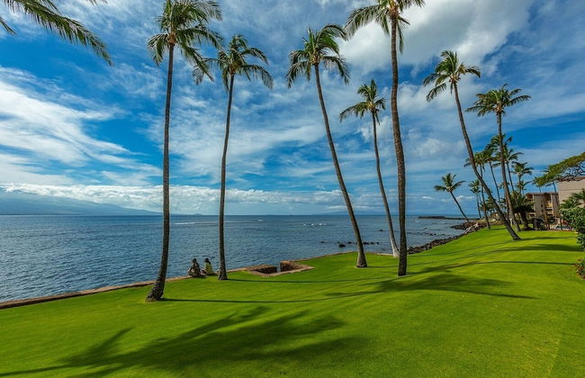 Lauloa 407 2 Bedroom Condo - Foto 30