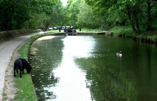 Luxury Penthouse, in the heart of Uppermill, Saddleworth - Foto 31