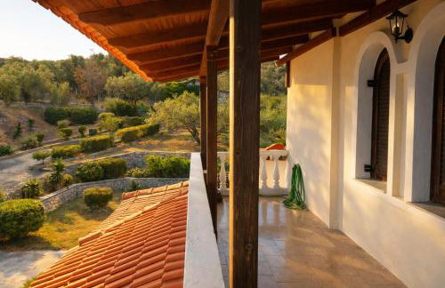 Blue Dandelion - Photo 9