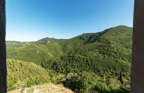 Libera Mente - Foto 30