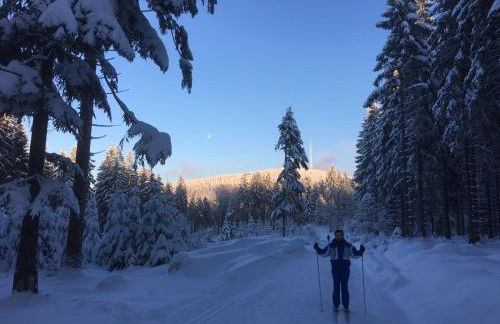 Ferienhäuschen Sans Pareille bei Bayreuth - Foto 49