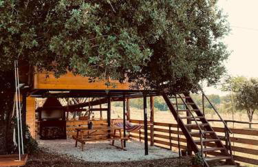 The Treehouse of The Dragon - Foto 16