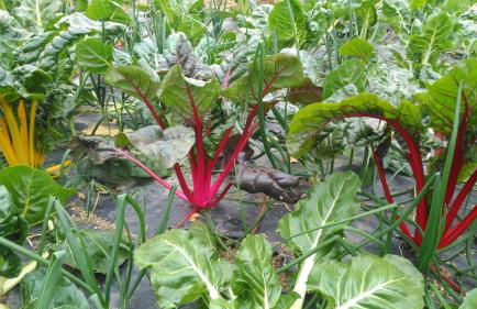 Casa Rural Aristondo Agroturismo - Foto 10