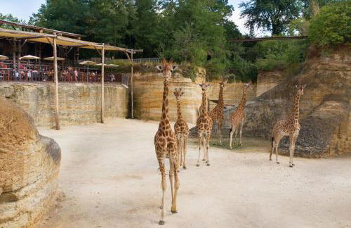 Maison de campagne entre Loire et vignes - Photo 20