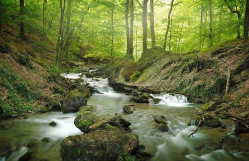 Podere Cerrete - Eco Farmhouse - Foto 20