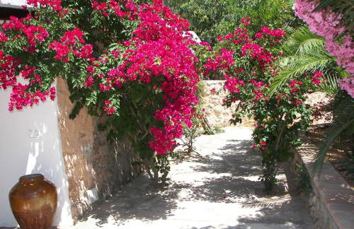 Agroturismo Can Pere Sord - Foto 129