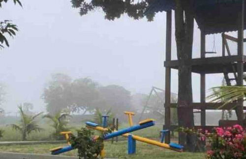 LD House- Bananeiras - Photo 32