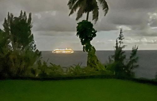 Grand Oceanfront Gated Estate on the Hamakua Coast - Foto 43