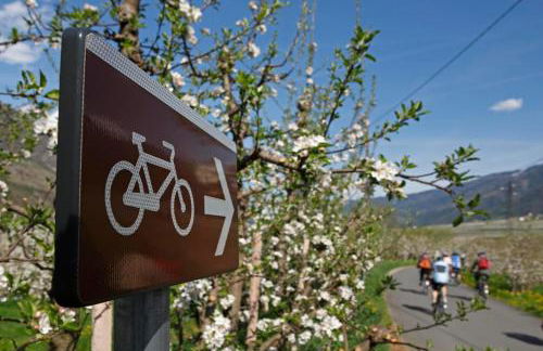 Haus Schweitzer - Naturns - Foto 19