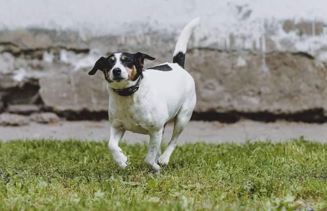 Holiday Home on Grossglockner Alpine Road - Foto 34