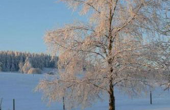 Apartment Wiesengrund by Interhome - Foto 18