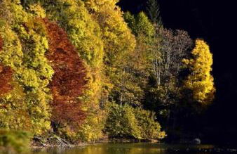 Appartamento Da Romina con parcheggio gratuito - Photo 32