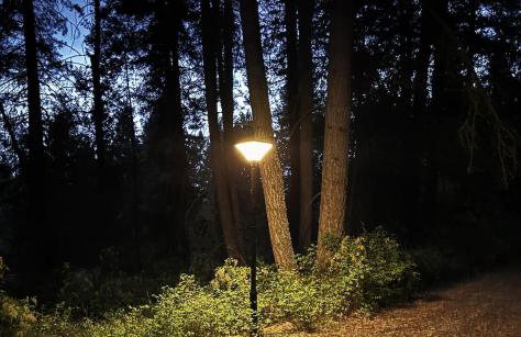 Tranquil Nature Retreat on 12 acres! - Foto 21