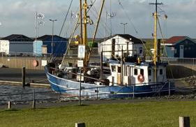 Ferienwohnung Kuhlmann Wurster Nordseeküste - Foto 14