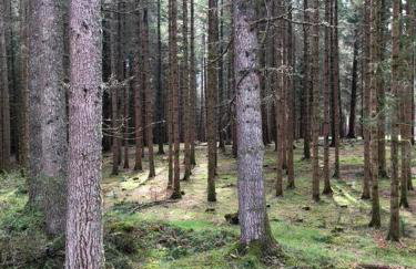 3 BR Luxury Apt at Highland Club - Fort Augustus - Foto 31