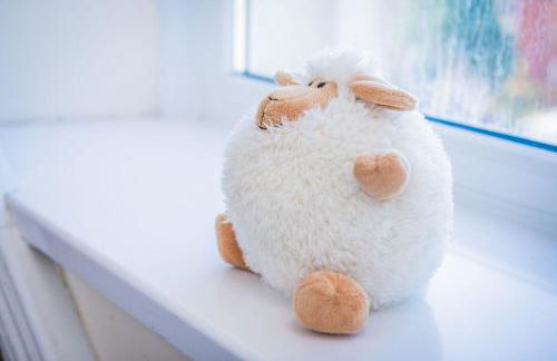 James' Place at Dowlais - Photo 59