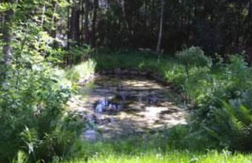 Apartment Seerose by Interhome - Foto 14