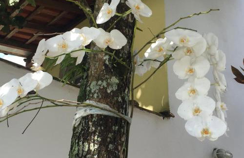 Casa Paraty praia e montanha - Foto 17