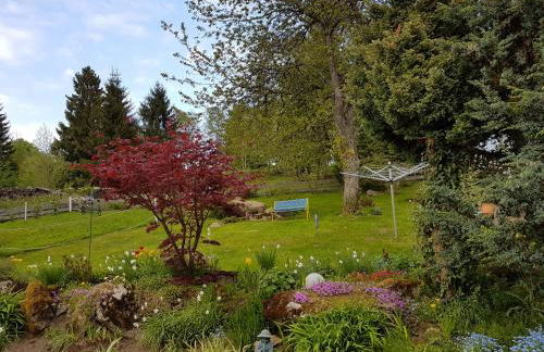 Ferienwohnung Dersch - Foto 17