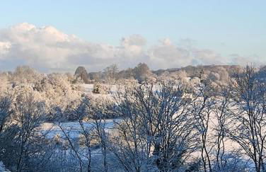 Les Délices de la Vie - Foto 29