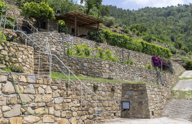 1 bedroom House in Vallebona with garden and terrace - Photo 27